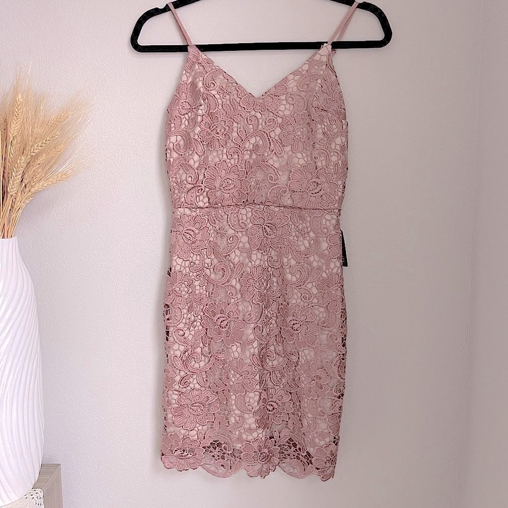 Express Lace Mini Cocktail Dress - Nude & Mauve - Size 00 - Picture 1 of 5